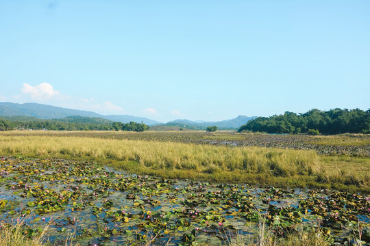 Jointa hills in India bangladesh border along with wetland