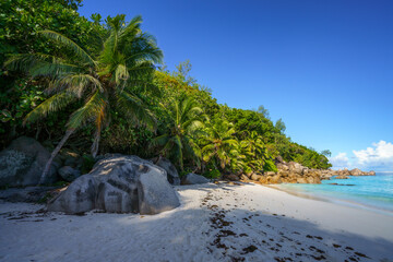 beautiful  tropical beach anse georgette on praslin on the seychelles