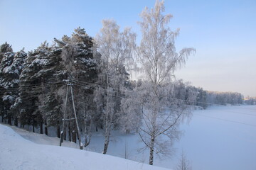 snow and frost covered trees in winter forest in cold day with blue sky and frozen river