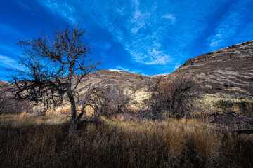 Along the Umtanum Creek Trail, WA