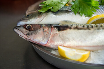 marinade de poisson gros-plan