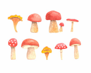 Set of watercolor mushrooms
isolated on white