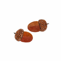 Two acorns isolated on white, watercolor