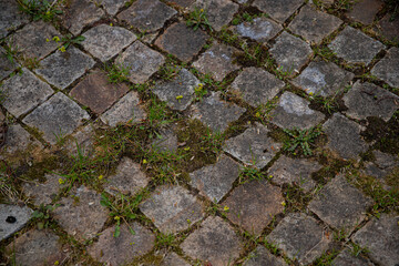 walkway made of stone tiles background with moss