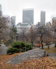 Central Park in winter  rainy day