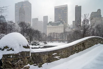 Photo sur Plexiglas Pont de Gapstow Gapstow Bridge dans la tempête de neige de Central Park