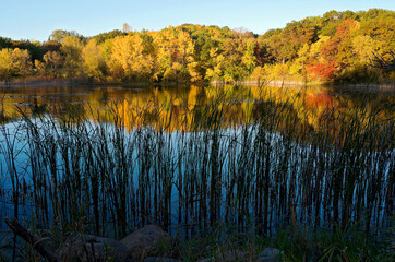 marthaler pond autumn reflections in west st paul minnesota