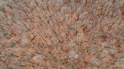 Aerial Above The Trees In Winter - Deep Creek Maryland