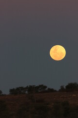 Obraz premium Full moon in the Kgalagadi