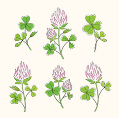 Line art watercolor set of clover branches with leaves and pink flowers. Happy St. Patricks Day