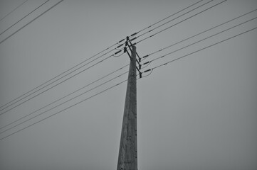lines