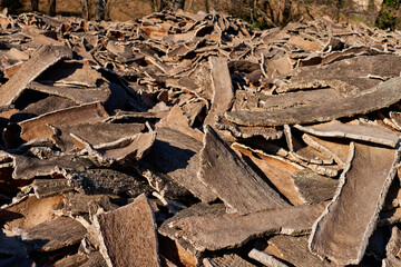 Stacked wood bark tree production for processing at industrial factory.