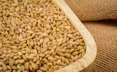 close up Pearl barley healthy food for diet