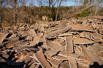 Stacked wood bark tree production for processing at industrial factory.