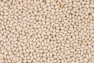 Food background of healthy dried  white  beans