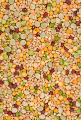 Multicolored pulses, soup mix of  dried white bean ,green and yellow split pea,