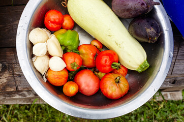 Fresh organic tomatoes, eggplant aubergine, pepper, garlic and zucchini in metal bowl. Seasonal vegetables picked from the garden, harvest time