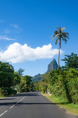 Naklejka premium Main road along Moorea island with Mou'a Roa in the background, French Polynesia