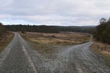 Wanderweg im Ehemaliger US-Standortübungsplatz Brönnhof bei Schweinfurt