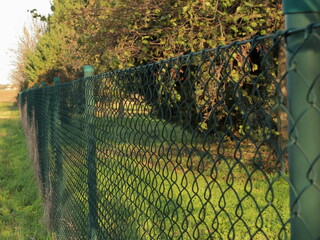 recinzione in rete metallica, wire mesh fence