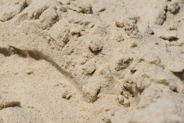  Sand texture. Fine grain. Barra da Tijuca, Rio de Janeiro. Brazil. Closeup