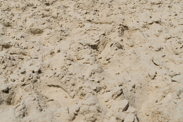  Sand texture. Fine grain. Barra da Tijuca, Rio de Janeiro. Brazil. Closeup