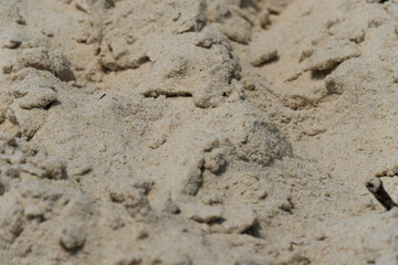  Sand texture. Fine grain. Barra da Tijuca, Rio de Janeiro. Brazil. Closeup