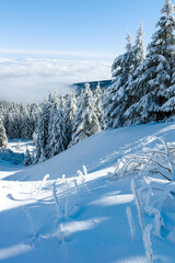 Winter landscape of Vitosha Mountain, Bulgaria
