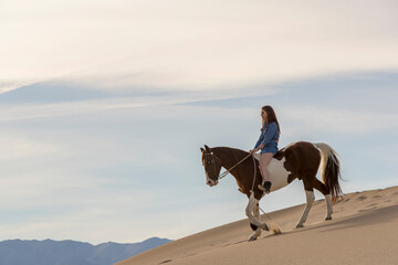 Obraz na płótnie Canvas Young Female Rider And Her Horse