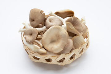 Fresh oyster mushroom in bamboo basket on white background.