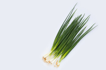 Spring onions on white background