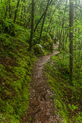 Hiking trail in Soca river valley near Bovec village, Slovenia
