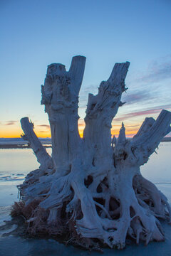 long deserted hard hearted stump