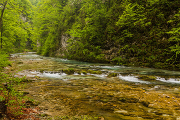River Radovna in Vintgar gorge near Bled, Slovenia