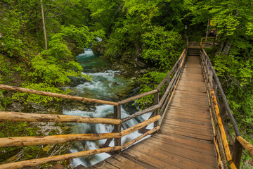 Fototapeta premium Boardwalk in Vintgar gorge near Bled, Slovenia