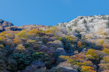 北アルプス立山のの紅葉と冠雪