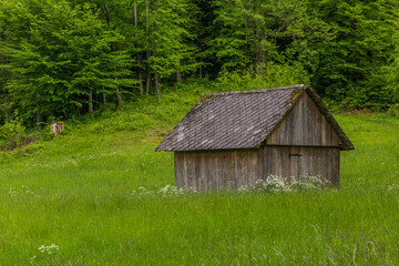 Fototapeta premium Barn at a meadow near Bled, Slovenia