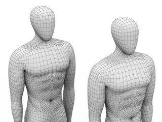 Three-dimensional models of human body isolated on white background. 3D illustration.