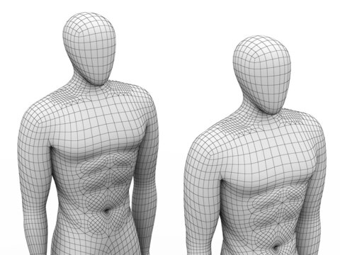 3D Human Models