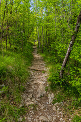 Hiking path near Skocjan Caves, Slovenia