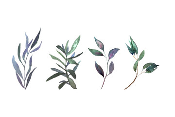 Set of decorative watercolor branches