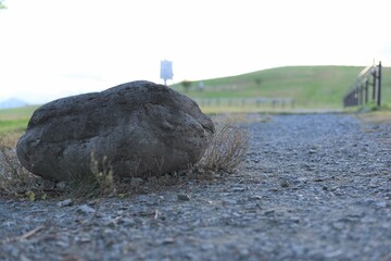 道にある岩