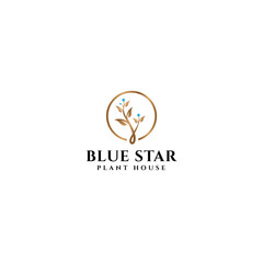 Modern design BLUE STAR PLANT HOUSE logo design
