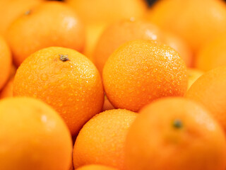 Tangerines. Close-up of few beautiful fresh tangerine fruit with water drops
