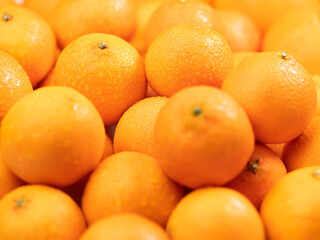 Tangerines. Lots of beautiful fresh juicy tangerines