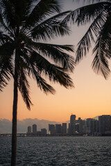 Fototapeta na wymiar sunset palms sky color orange Miami Florida usa panorama vacation travel sea buildings urban skyscrapers 