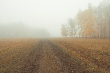 field road to the misty autumn forest