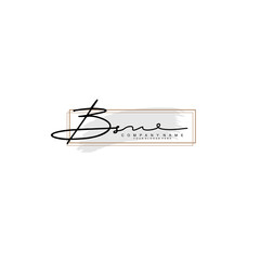 BS initial Signature logo template vector