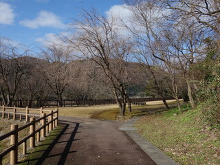 晴れた冬の日の公園の風景