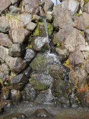 石の上を流れる水